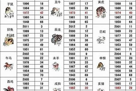 屬狗的|屬狗年份｜2024年幾歲？屬狗出生年份+歲數一